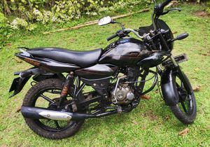 Bajaj XCD 125 2008 for Sale