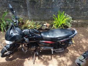 Bajaj XCD 125 2009 for Sale