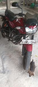 Bajaj XCD 2008 for Sale