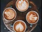 Baristas & Bartender - Girl Boy -,Training All island Apply