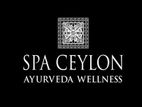Beautician – Colombo 7