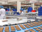 Biscuits/Cakes Production Packing Officer