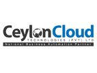 Business Development Executive