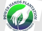 Business Development Manager - Gampaha
