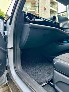 BYD Dolphin Carpets for Sale