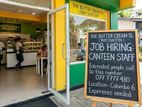 Cafe Workers - Colombo 6