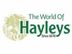 Call Center Agent - Colombo 9