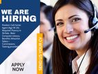 Call Center Agent