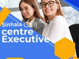 Call Centre Executive