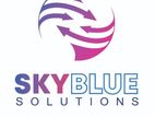 Call Centre Executive