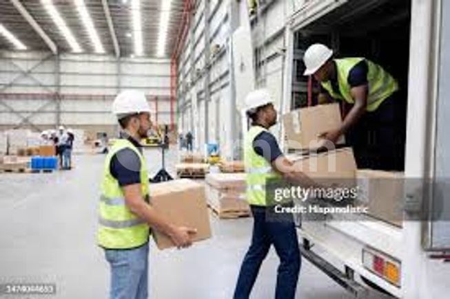 787778fa-a7a9-4f03-9350-cf5dc5e0452c