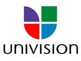 CCTV Technician