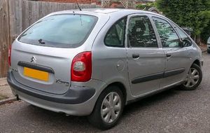 Citreon x Sara Dicky door for Sale