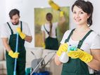 Cleaner (Male / Female) - Qatar