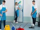 Cleaning staff - Jaffna