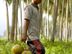 Coconut Estate Workers (Male)