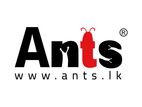 Computer Type Setter / Photocopy Assistant