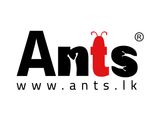 Computer Type Setter / Photocopy Assistant