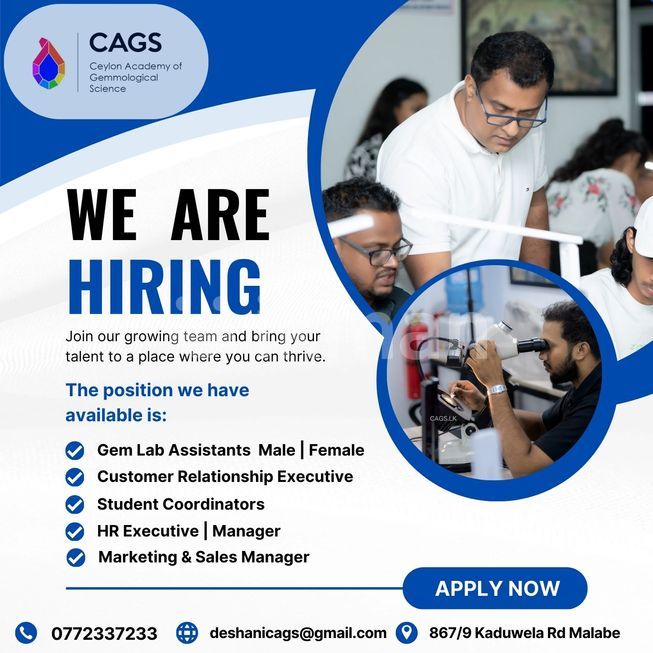 25b4bc97-4137-4c50-8c52-1fe8a64ec941