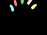 Customer Support Executive