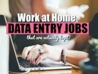 Data Entry Operator All Island