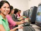 Data Entry Operator ( Male /Female) Dehiwala