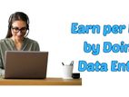Data Entry Operator Work from Home