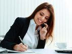 Data Entry Operator - Work from Home
