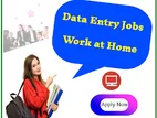 Data Entry Operator Work From Home