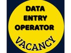 Data Entry Supervisor - Orugodawatta