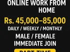 Data Entry - (Typing Online Part Time / Works at Home
