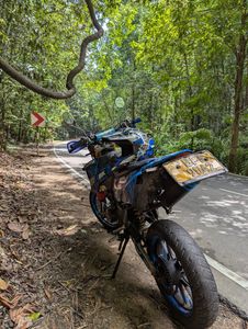 Demak DTM 2017 for Sale