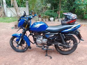 Demak Sky Born 2016 for Sale