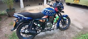 Demak Sky Born 2017 for Sale