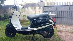Demak Tropica 2021 for Sale