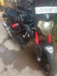 Demak Warrior 2017 for Sale