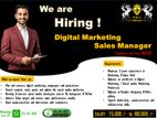 Digital Marketing & Showroom Sales Manager - ᴹᵃᵗᵃˡᵉ