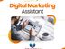Digital Marketing Assistant - Jaffna