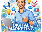 Digital Marketing Executive