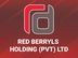 Digital Marketing Executive