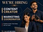 Digital marketing executive