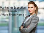 Digital Marketing Executive - Female ( Work From Home – Online Job )