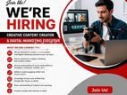 Digital Marketing Executive