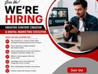 Digital Marketing Executive