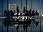 Digital Marketing Manager