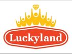 Sales Representative