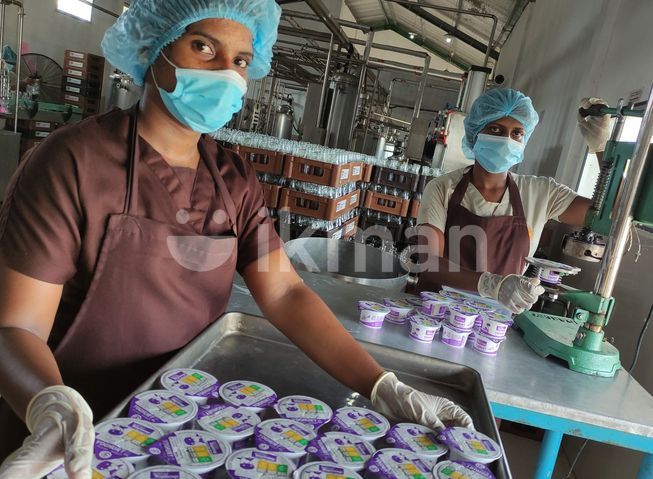 fafe009d-a0b3-4835-96b9-013a04b21426