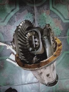 Dolphin 102 Pinion for Sale