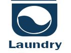 Dry Cleaning and Ironing for Laundry