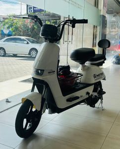 E - Bike 2024 for Sale